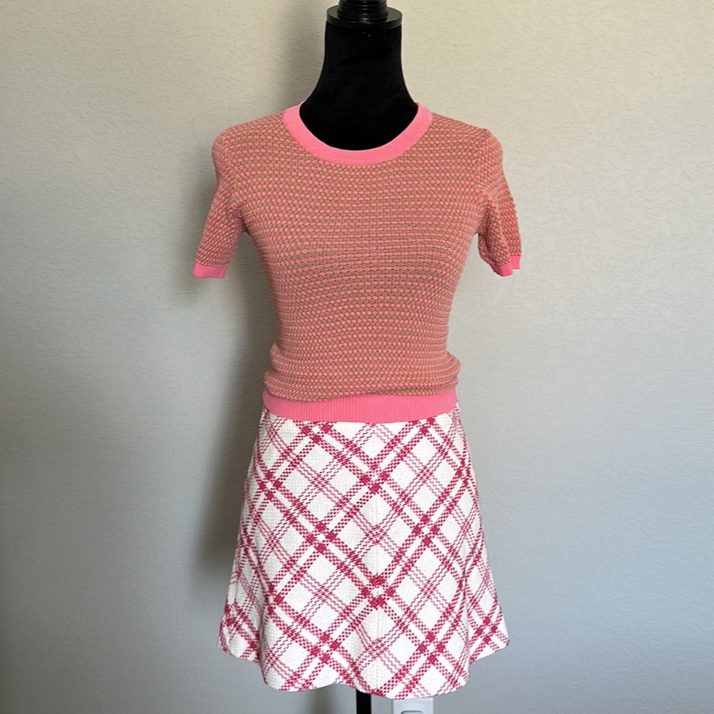 NWT Zara skirt